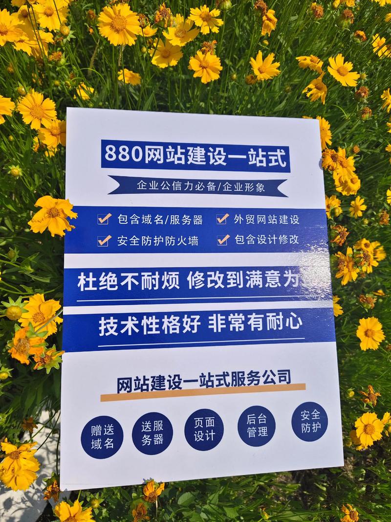 软件开发
