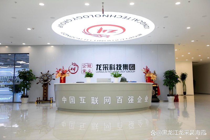 哈尔滨网站建设：为本地企业插上数字化翅膀